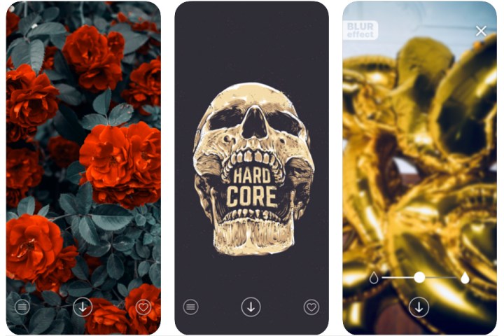 The Best Wallpaper Apps for Android and iOS